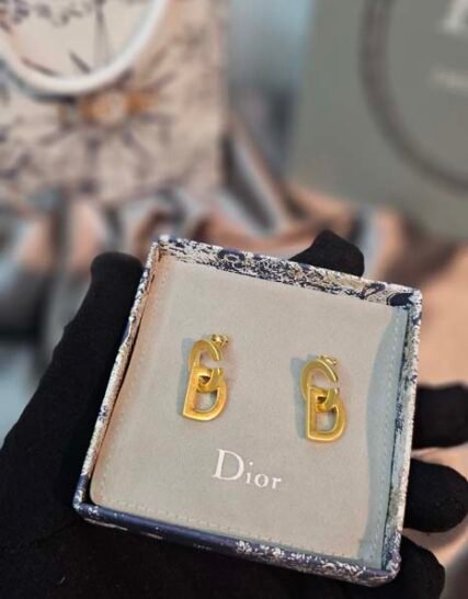 Accessories DIOR#573